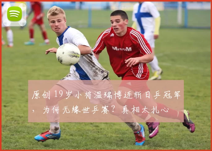 原创 19岁小将温瑞博连斩日乒冠军，为何无缘世乒赛？真相太扎心